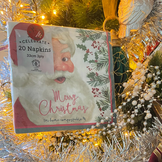 Merry Christmas Santa Claus Napkins