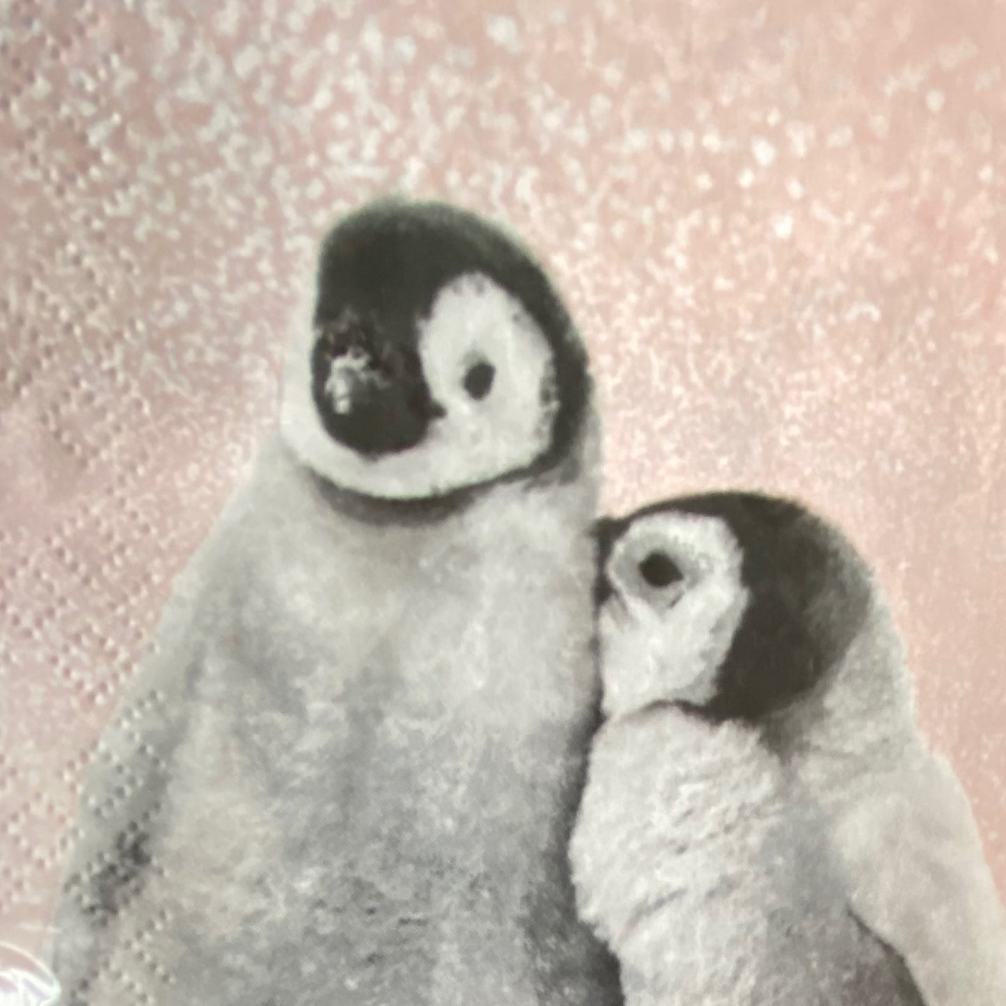1 x Penguins Napkins 20 per pack can be used for Decoupage