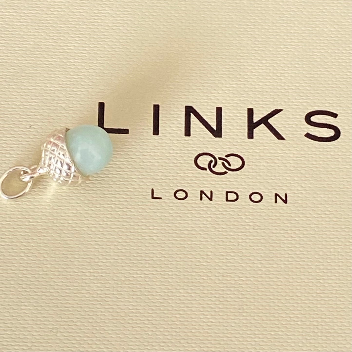 Links of London Love Note Acorn Charm