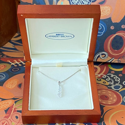 9ct Gold (375) and CZ stones Pendent on a 925 Sterling Silver (925) Necklace