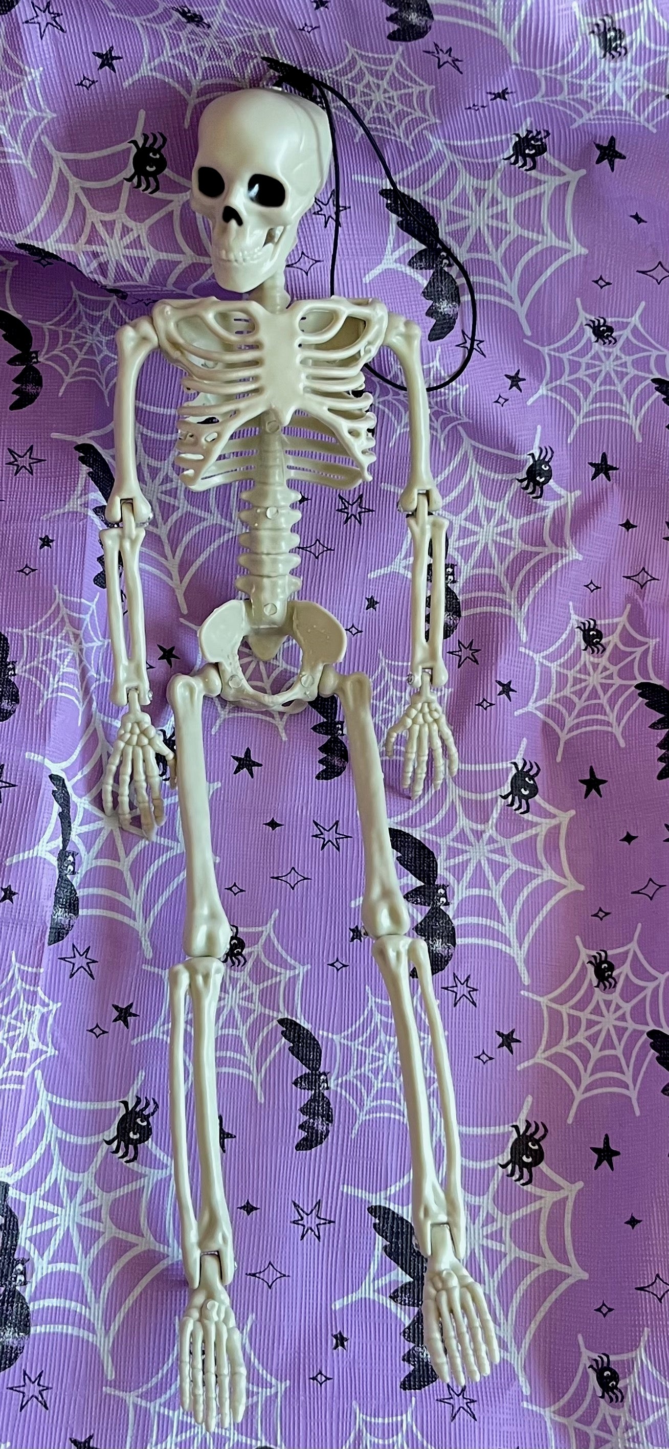 Thrillers and Fillers Halloween Party box -Limited Stock