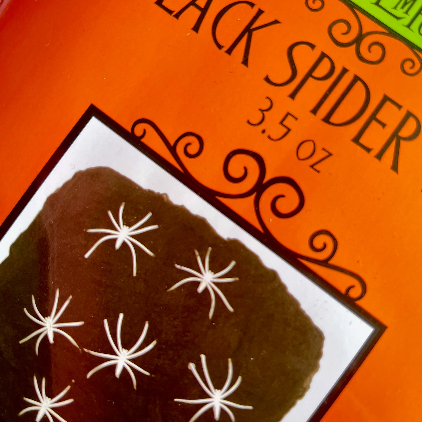 Black Spider Web for decoration only