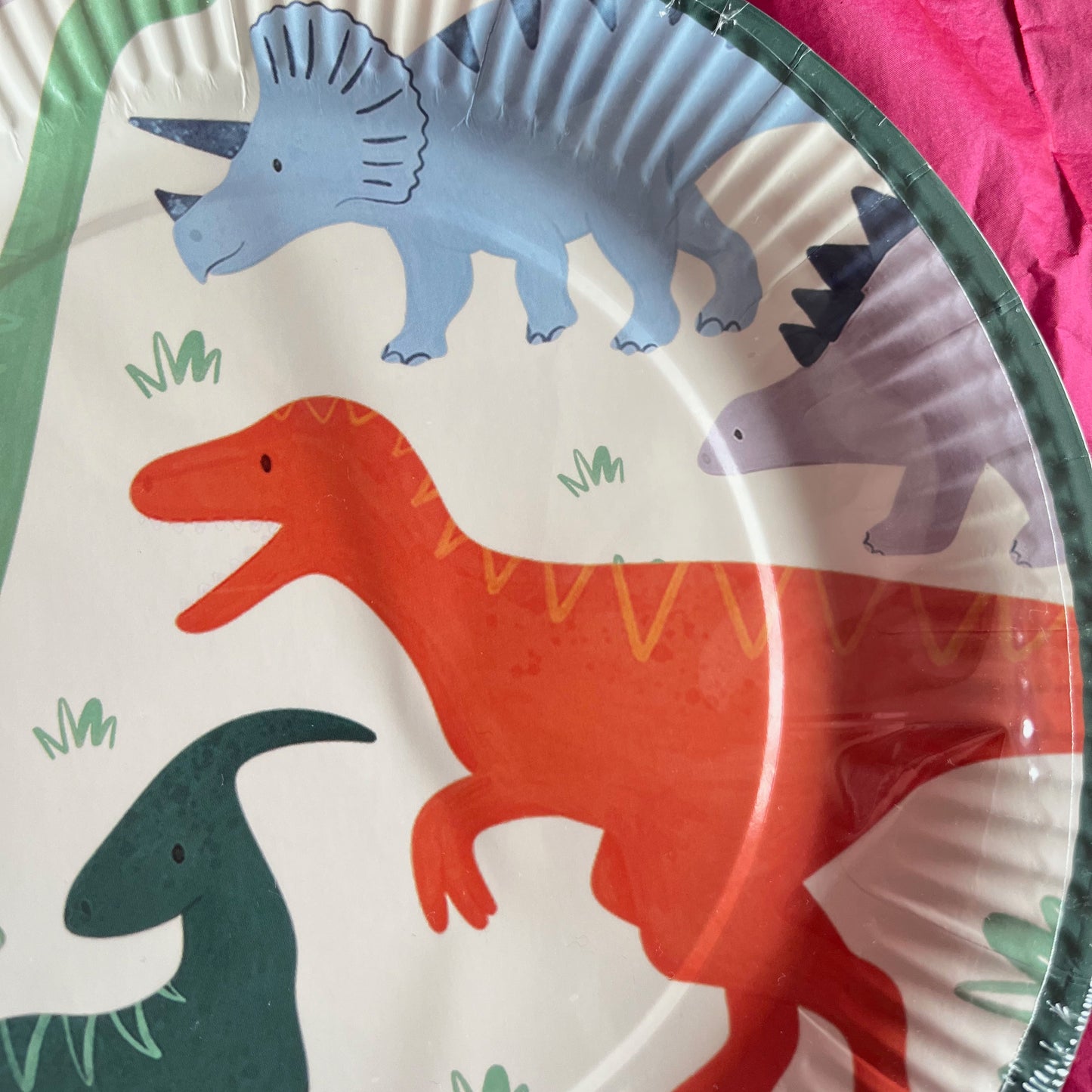 12 pk Dinosaur Paper Plates
