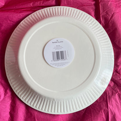 12 pk Dinosaur Paper Plates