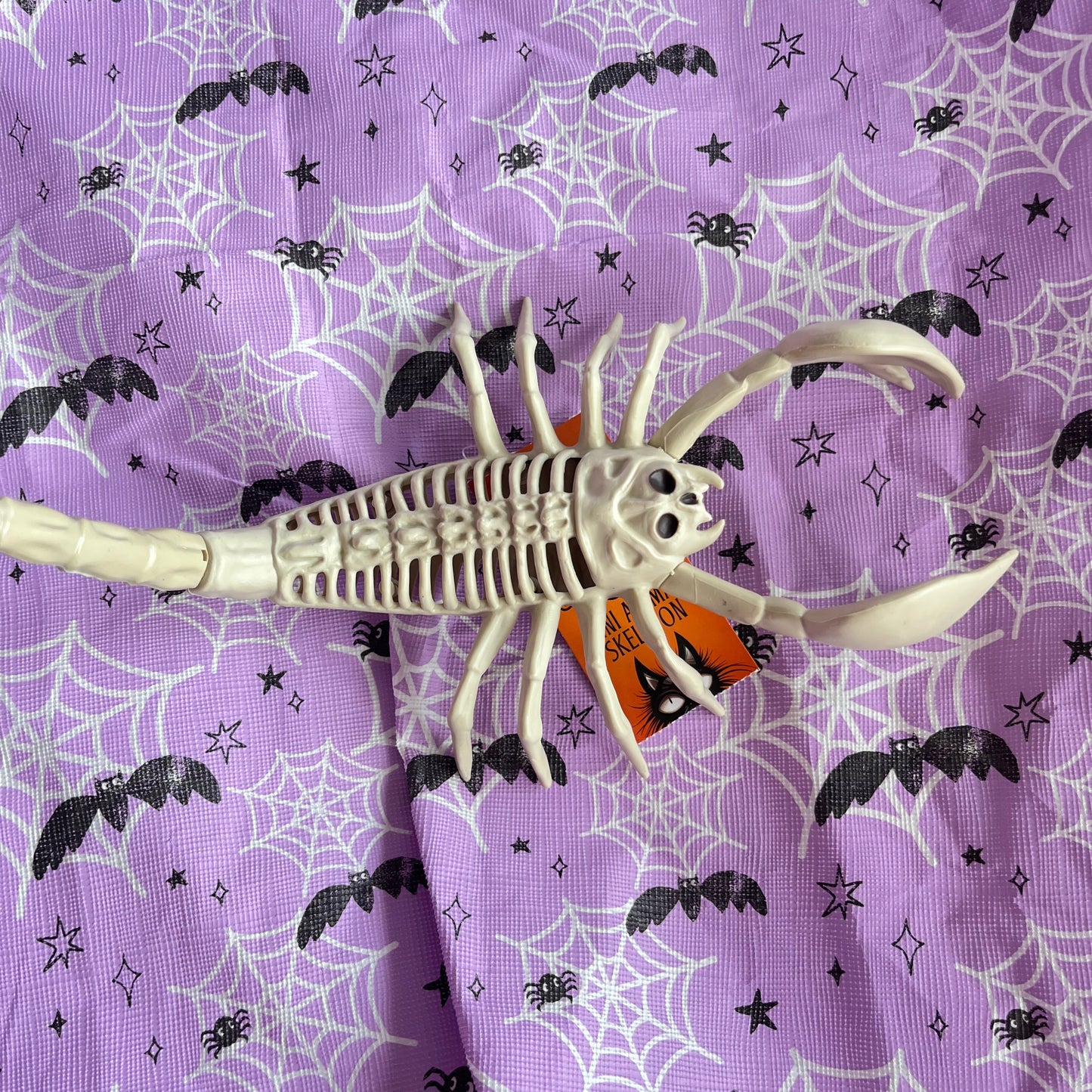 Halloween scorpion seasons bone skeleton prop scary decor
