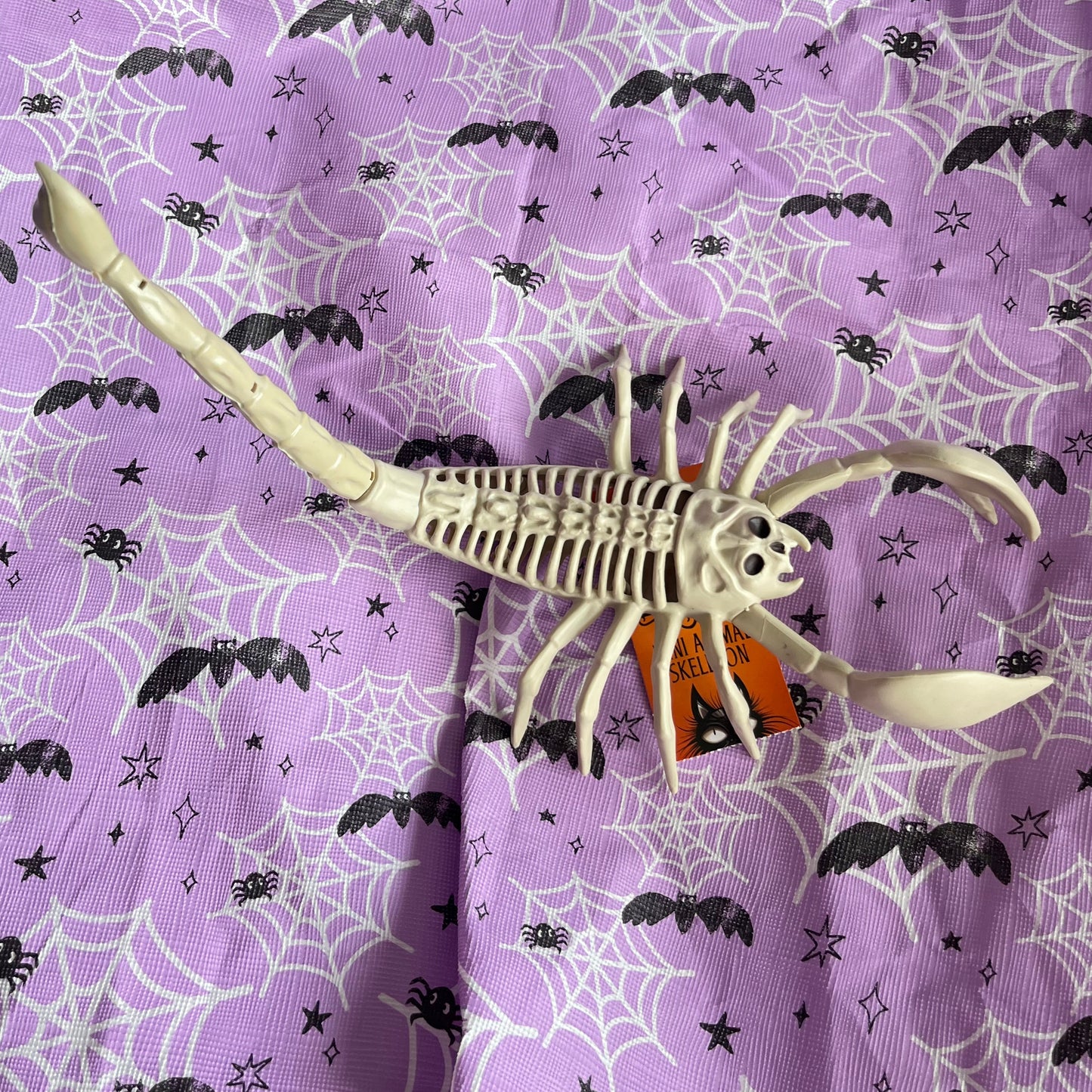 Halloween scorpion seasons bone skeleton prop scary decor