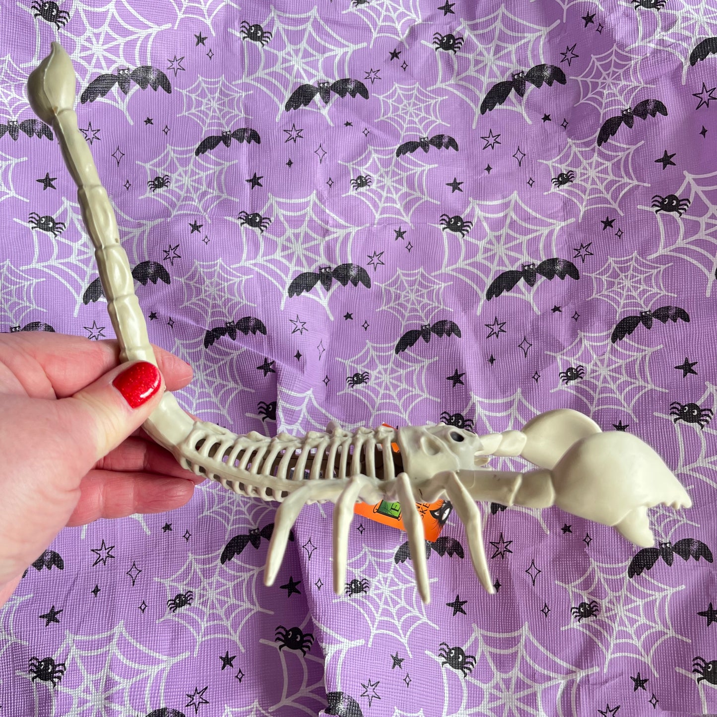 Halloween scorpion seasons bone skeleton prop scary decor