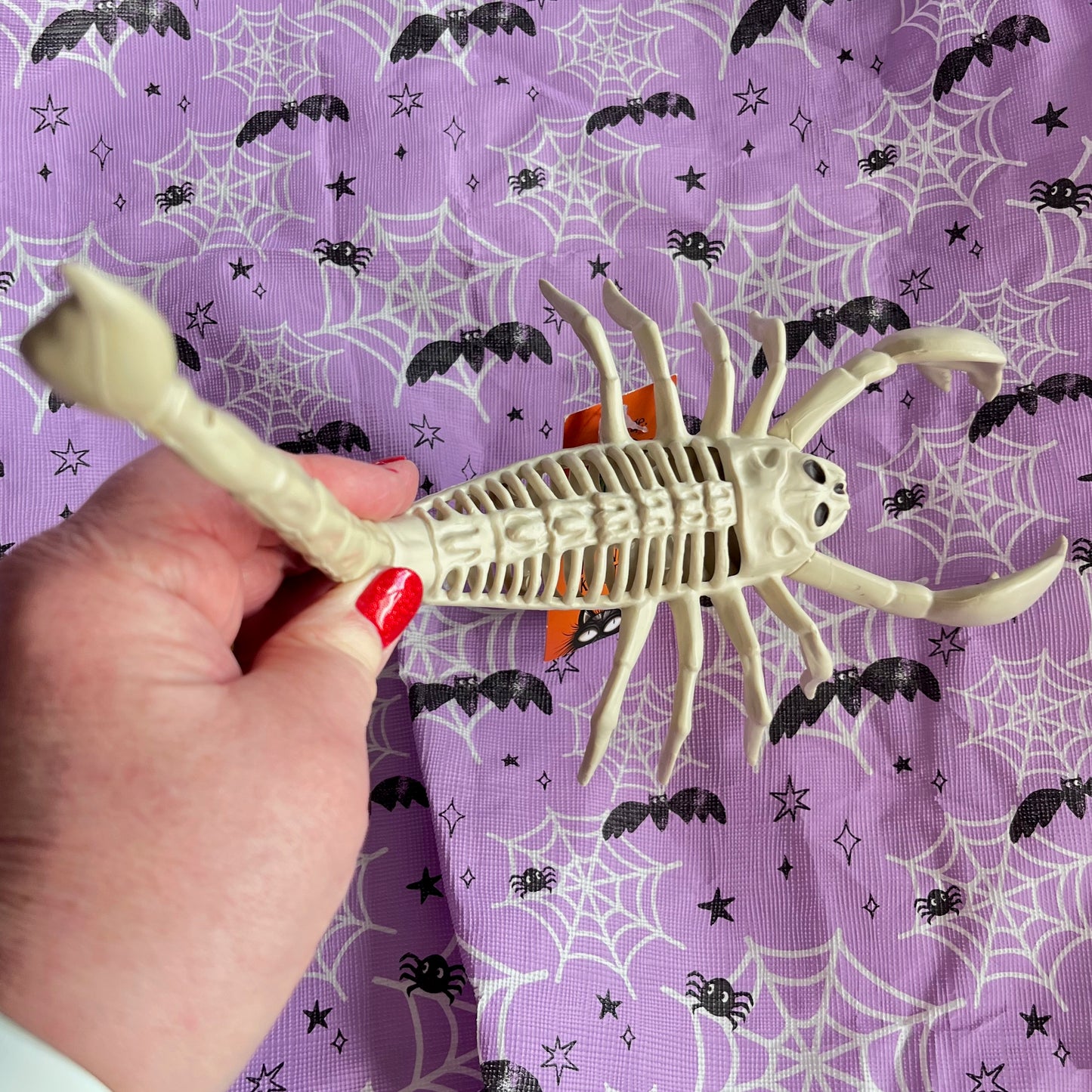 Halloween scorpion seasons bone skeleton prop scary decor