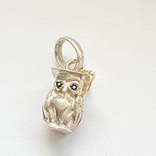 Load image into Gallery viewer, Graduation OWL  Links of London Charm
